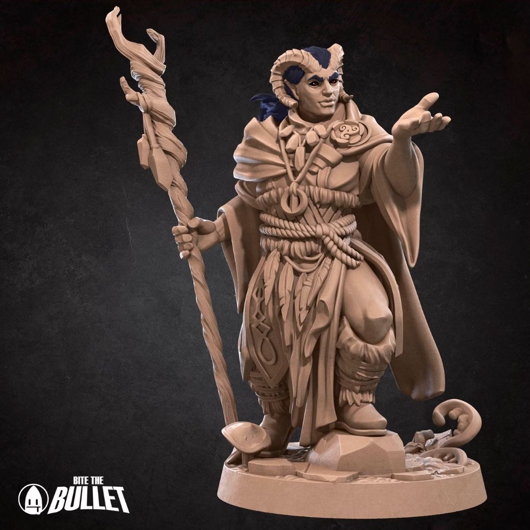 Tiefling Druid