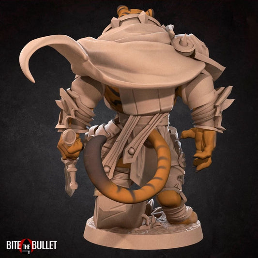 Tabaxis - Tabaxi Paladin