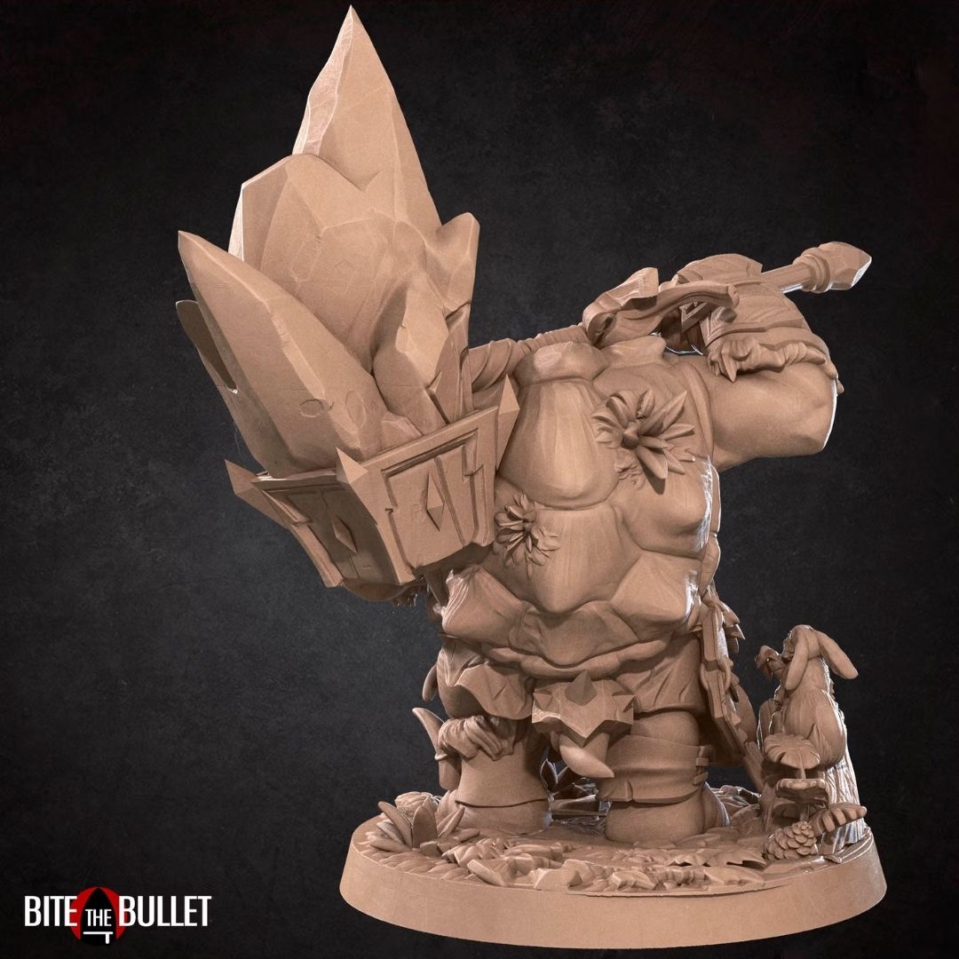 Tortles II - Tortle Barbarian