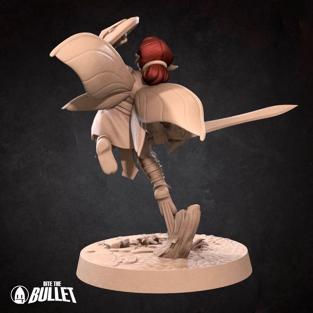 Pixie Paladin