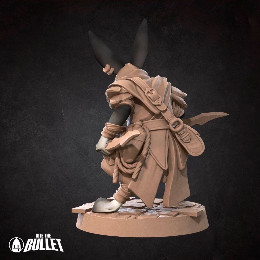 Haregon Rogue