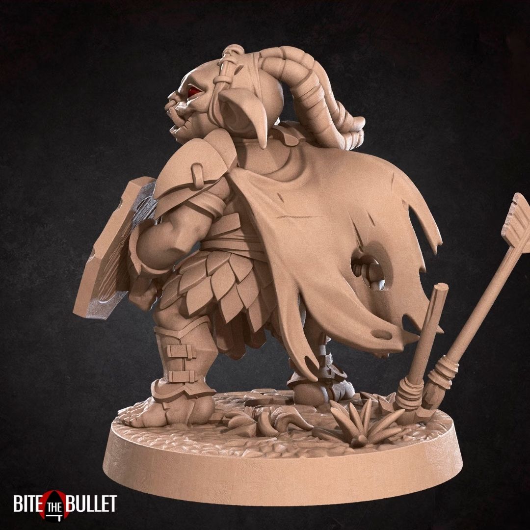 Goblins II - Goblin Fighter