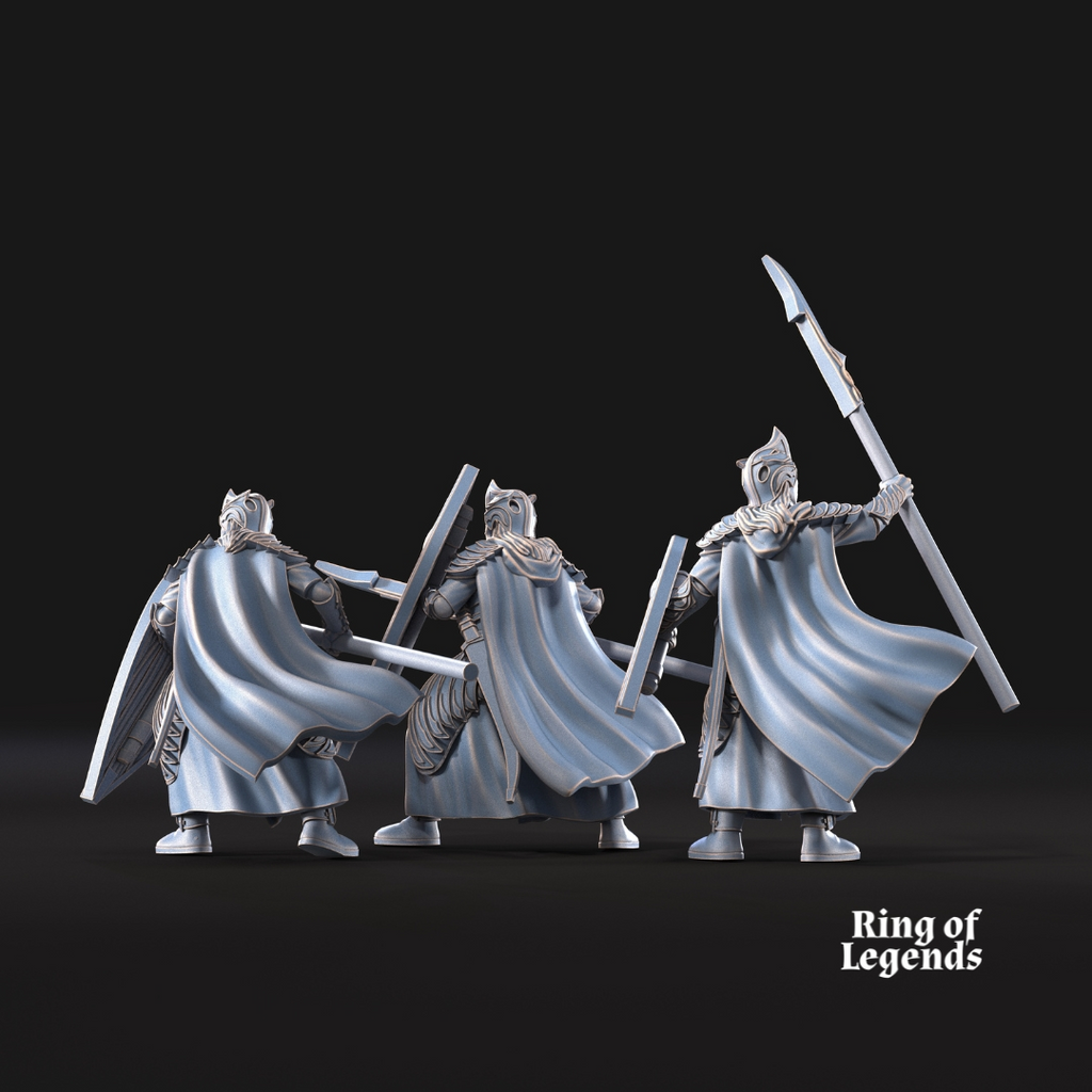 6 lanceros con escudo opcional - Elfos de Galanthir