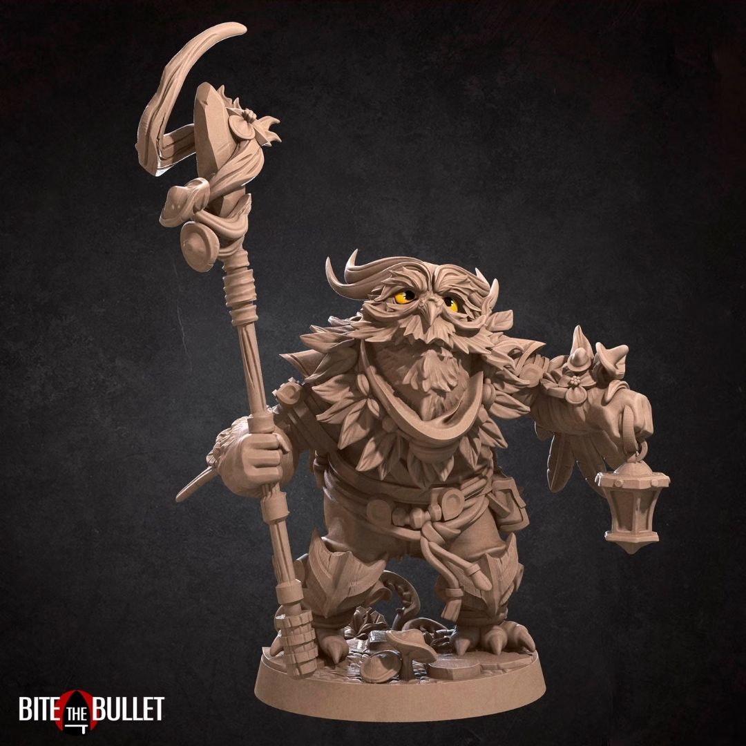 Owlfolk Druid