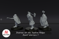 Dwarves of the Saphire Ridges Dwarf Warriors 1