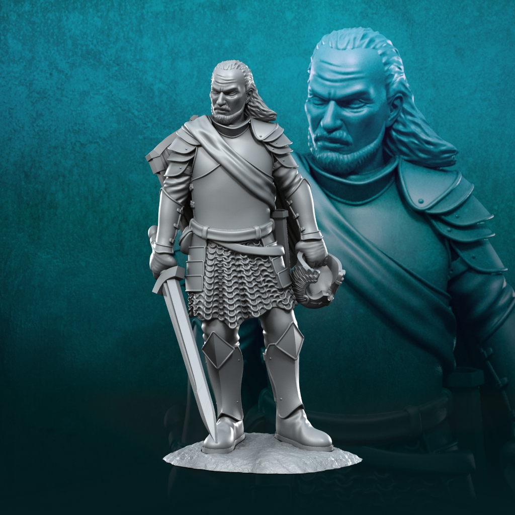 Capitán veterano del Castillo Gris V1