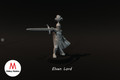 Elven Lord
