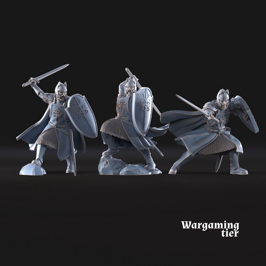 6x High Humans with shield & sword