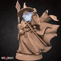 Wizard Explorer