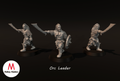 Orc Scout Leader