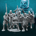 6x Guerreros del Castillo Gris Heridos