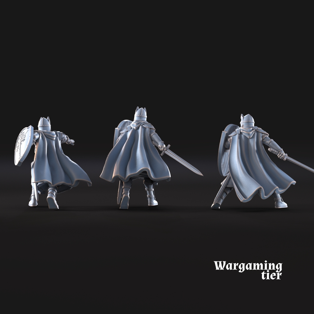 6x High Humans with shield & sword