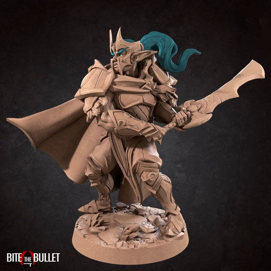 Night Elves - Vahdian the Fighter