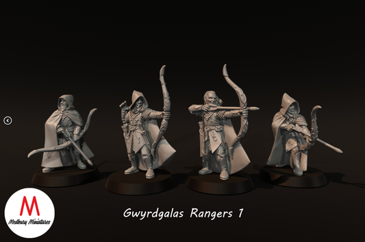 Gwyrdgalas Rangers 1