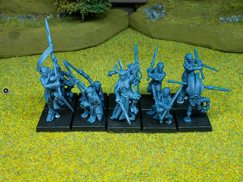 Feral Elf Bladesingers