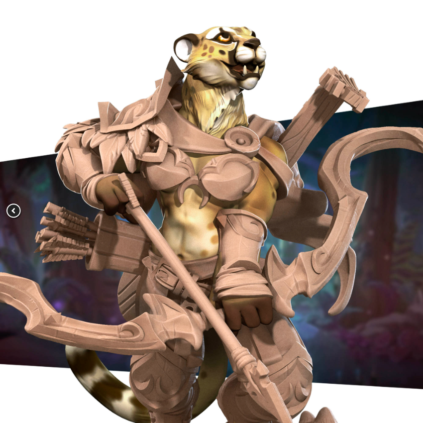 Tabaxi Battle Bard