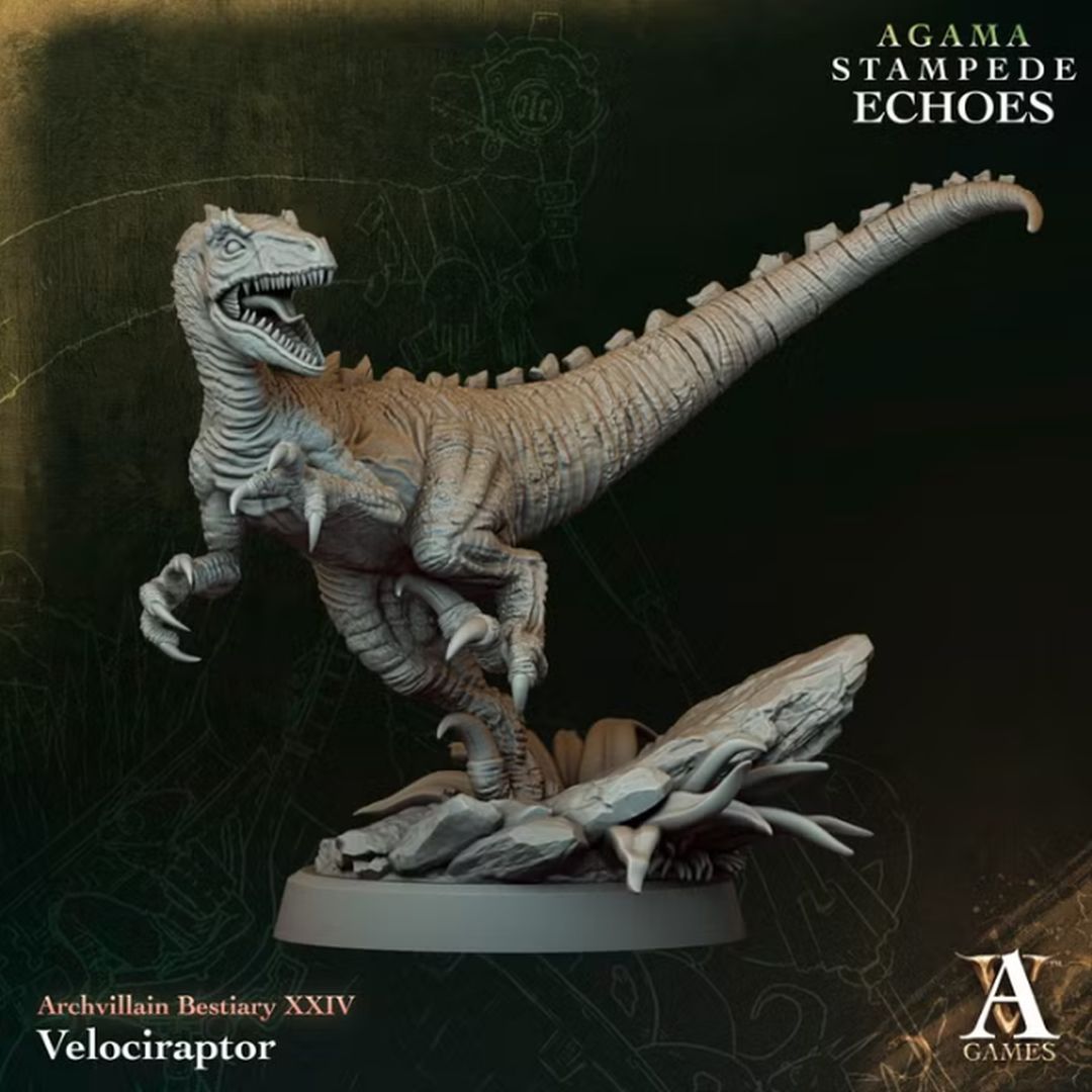Agama - Velociraptor