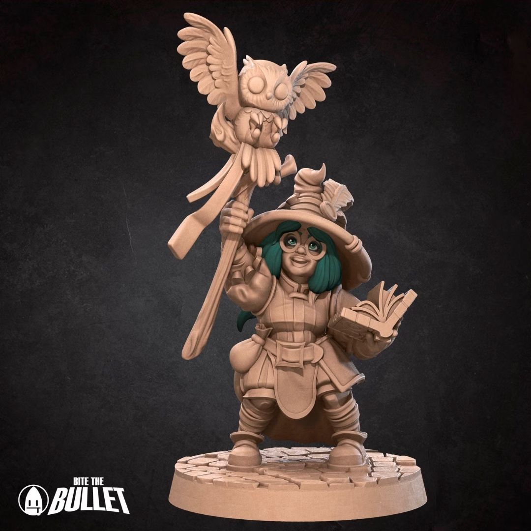 Gnome Wizard