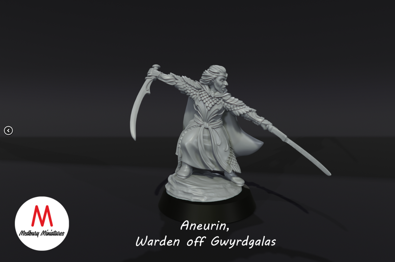 Aneurin, Warden off Gwyrdgalas