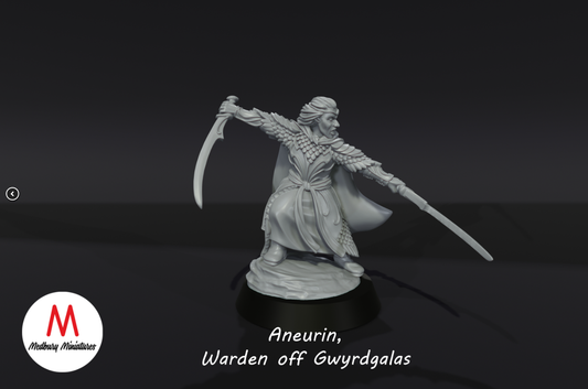 Aneurin, Warden off Gwyrdgalas