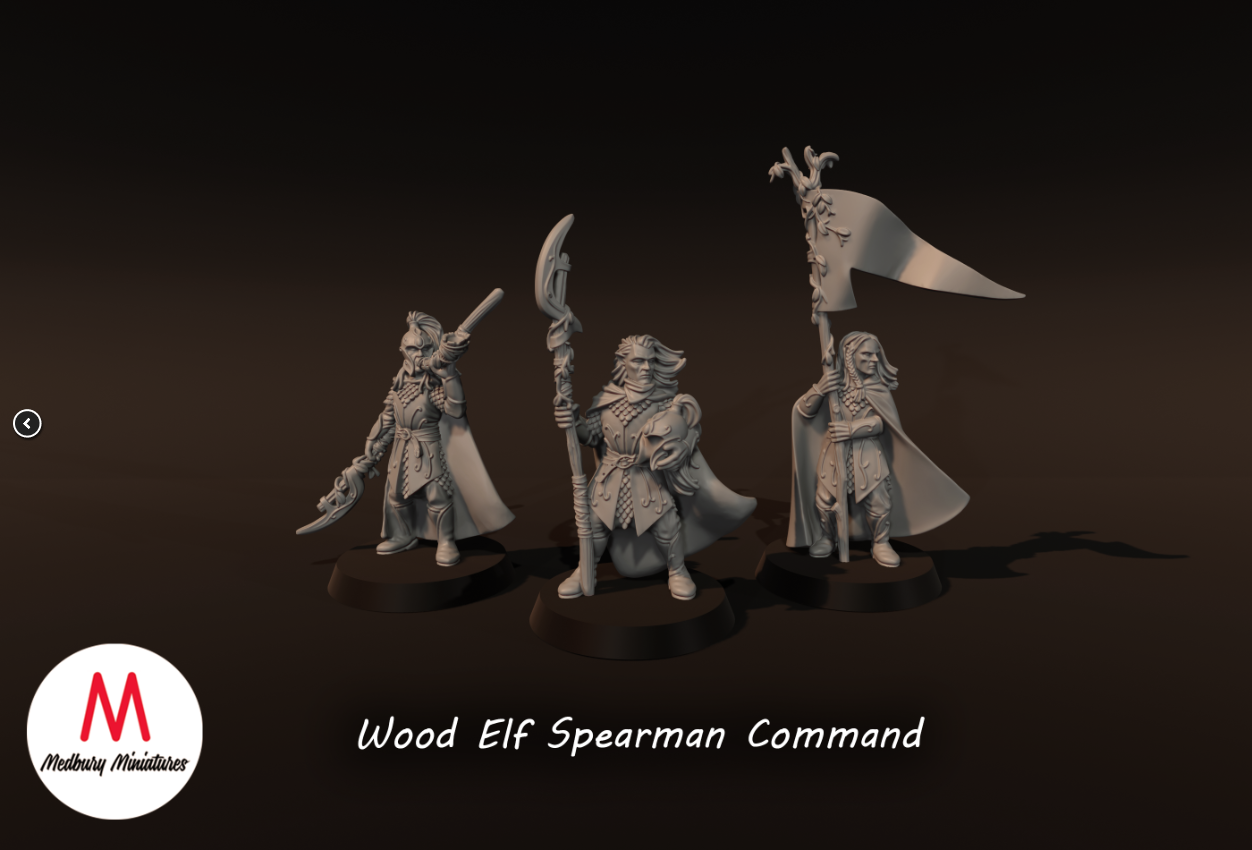 Wood Elf Spearmen Command