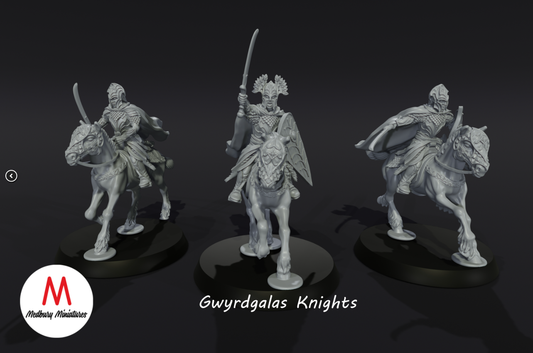 Gwyrdgalas Knights 1