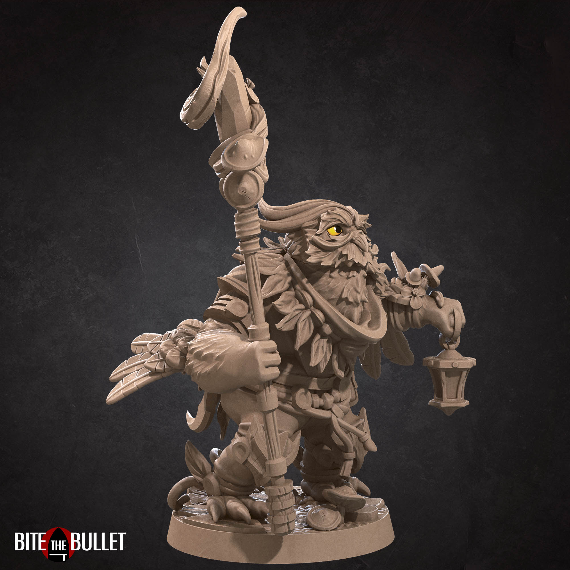 Owlfolk Druid