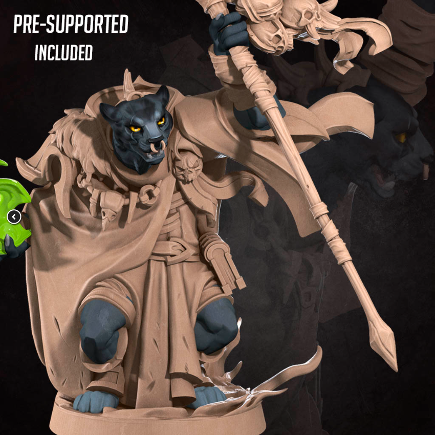 Tabaxi Warlock