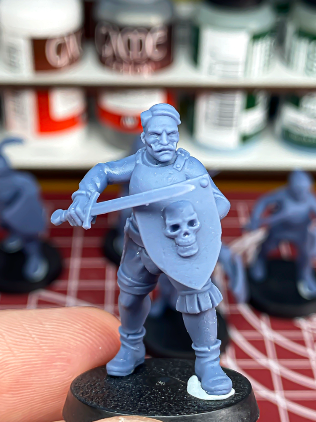 Sunland Swordsmen