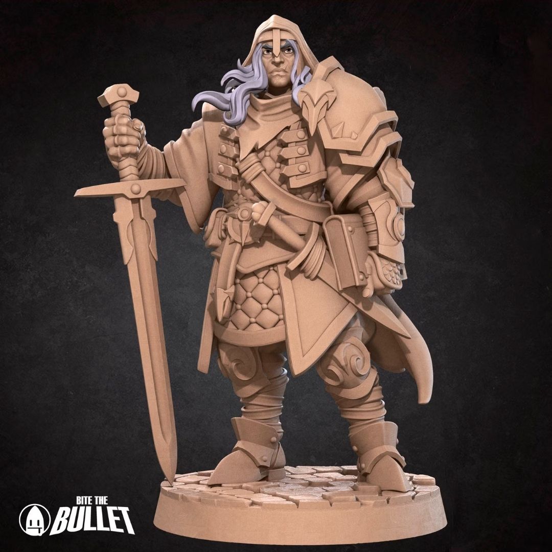 Human Paladin