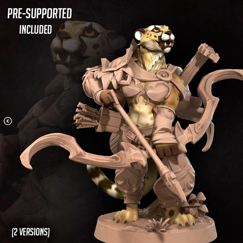 Tabaxi Battle Bard