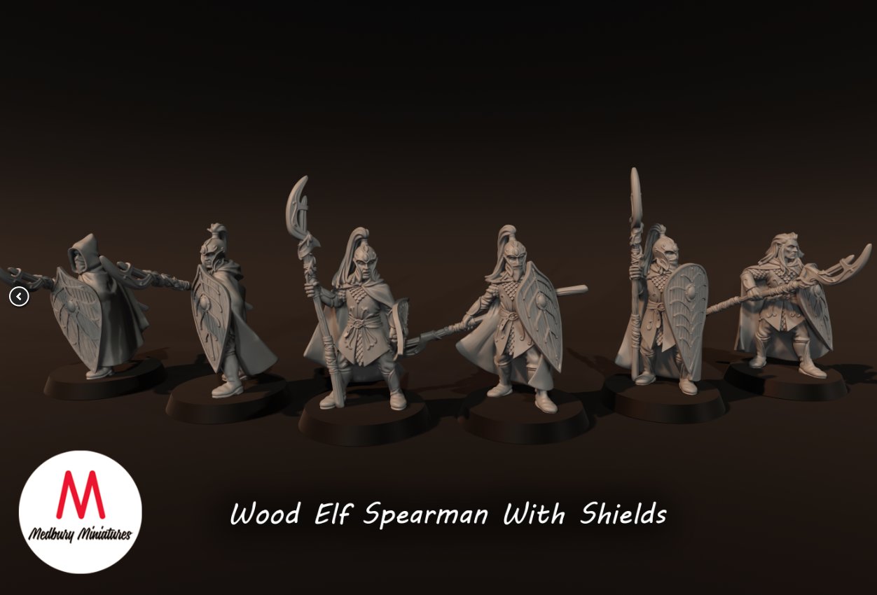 Wood Elf Spearmen With Shields
