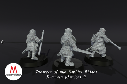 Dwarves of the Saphire Ridges Dwarf Warriors 4