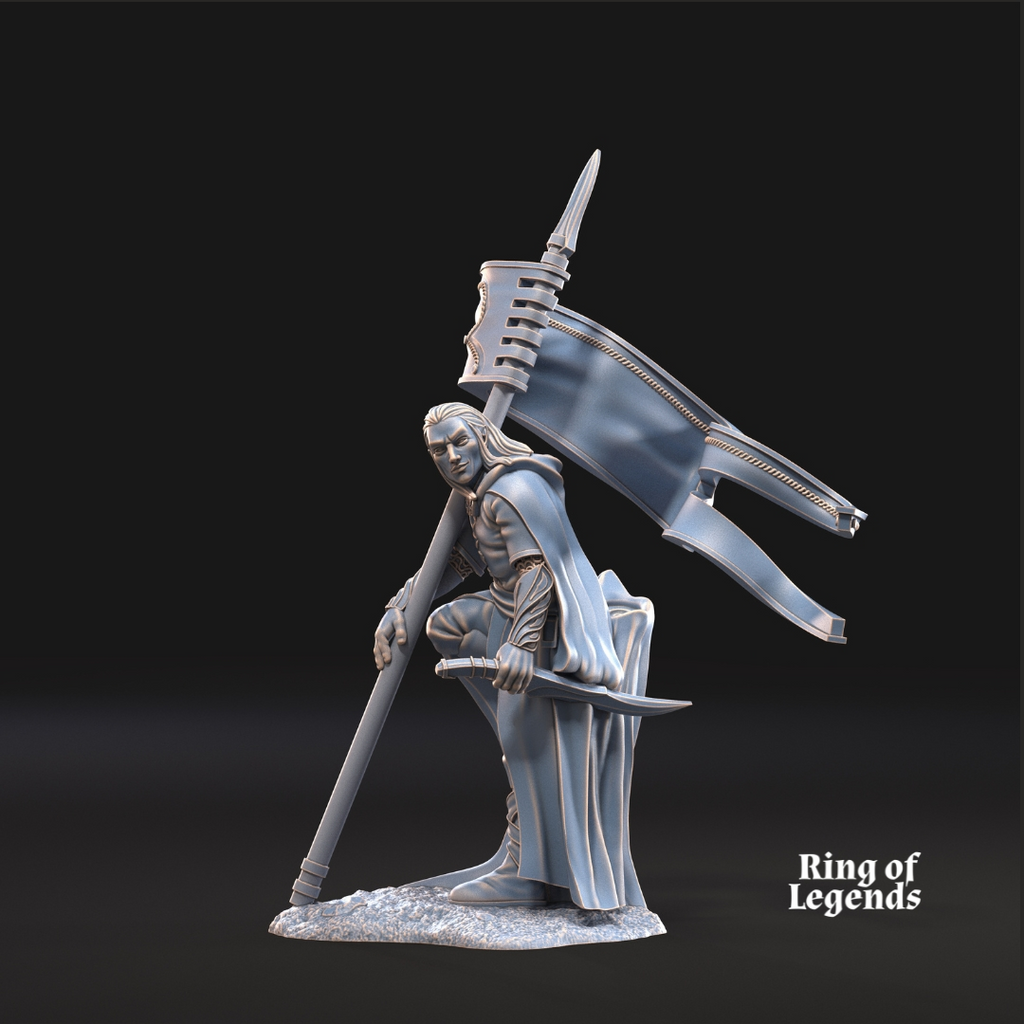1xEstandarte del Guardabosques - Elfos Galanthir