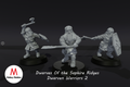 Dwarves of the Saphire Ridges Dwarf Warriors 2