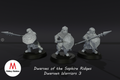 Dwarves of the Saphire Ridges Dwarf Warriors 3