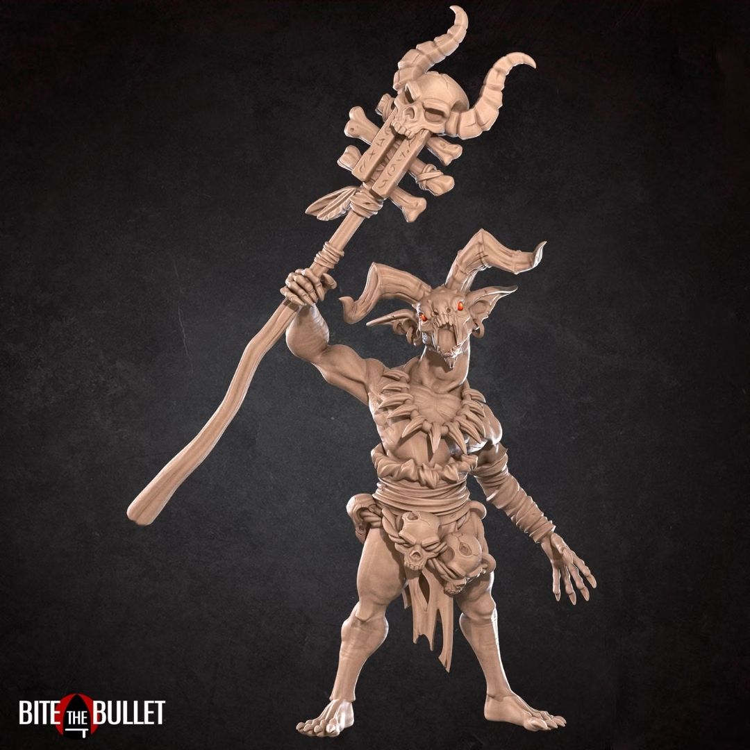 Fallen Shamans (2 Minis)