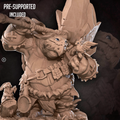 Tortle Barbarian