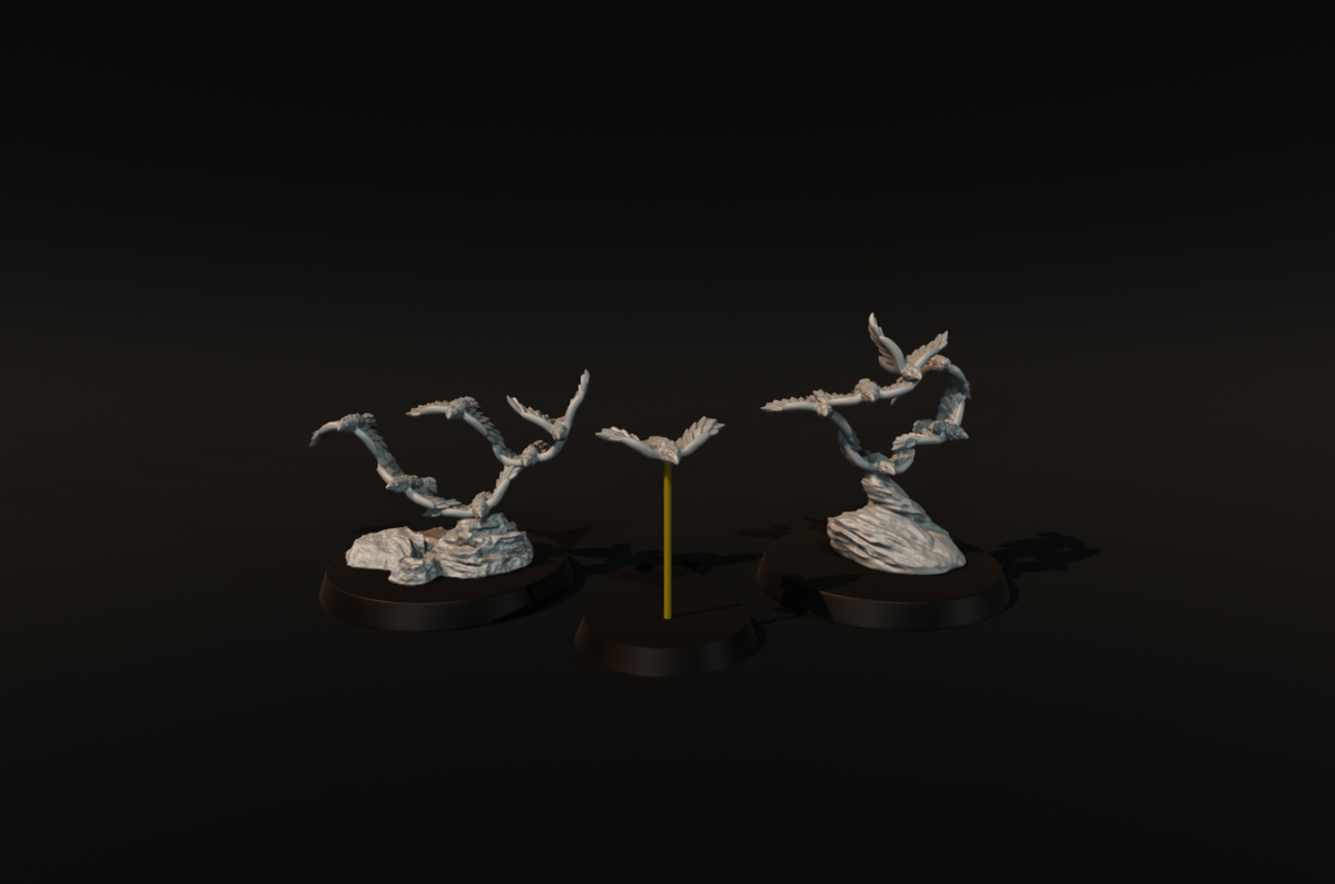 Birds