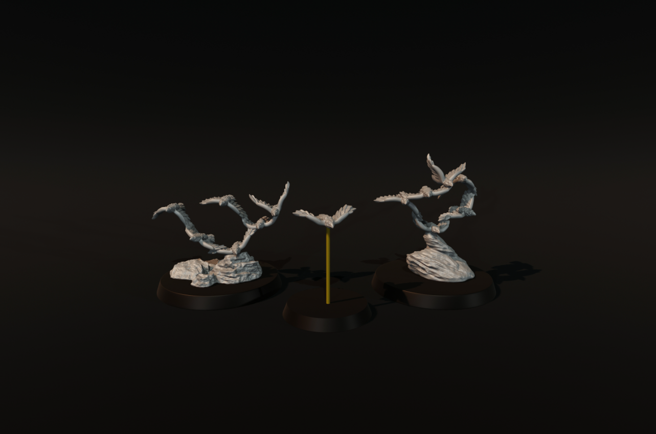Birds