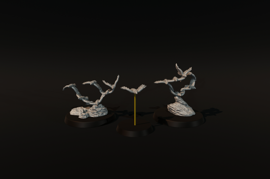 Birds