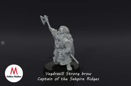 Vegdrasill Strong brow, Captain of the Dwarves of the Saphire Ridges