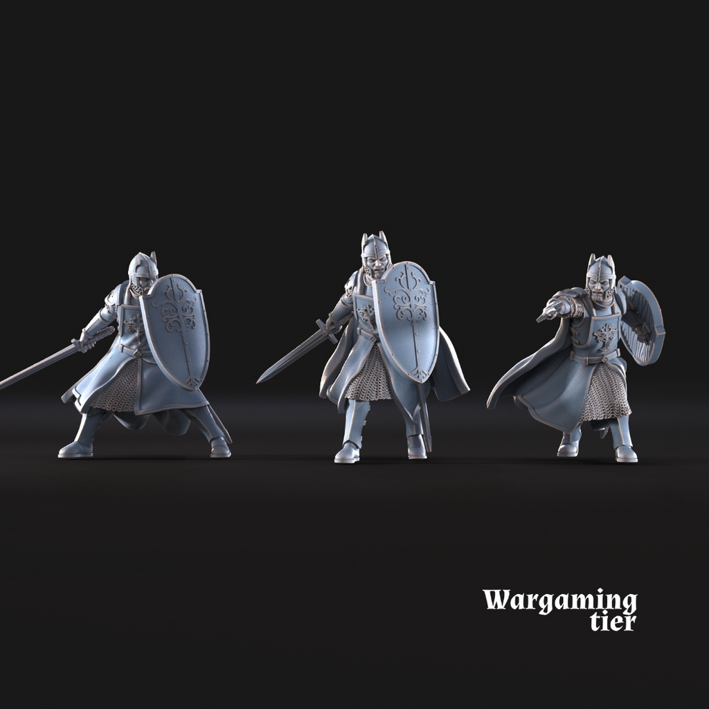 6x High Humans with shield & sword