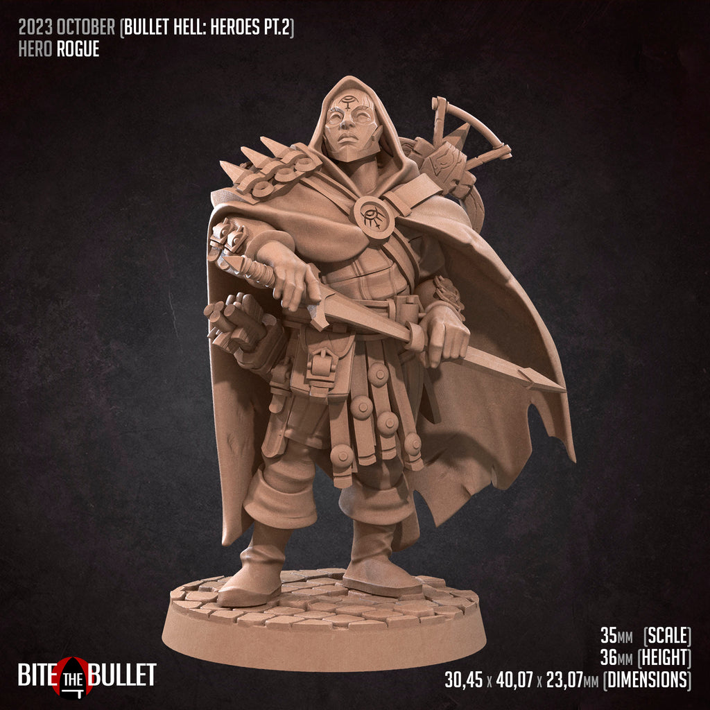Schurke / Hero Rogue