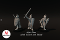 High Elves with Sword and shield
