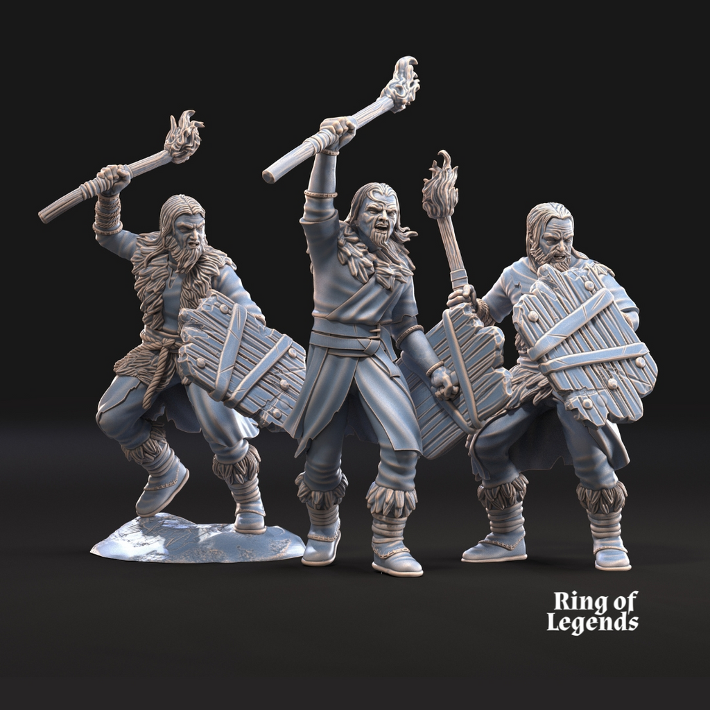 5x Antorcha y escudo opcional - Saqueadores de Fellmount