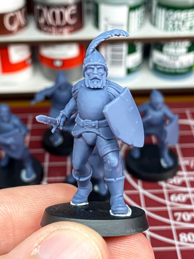 Sunland Swordsmen