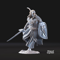 Captain of Galanthir on foot - Galanthir Elves