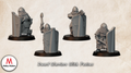 Dwarf Warriors With Pavises