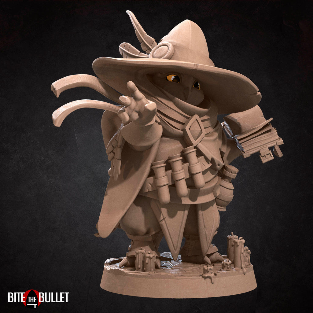 Owlfolk Wizard